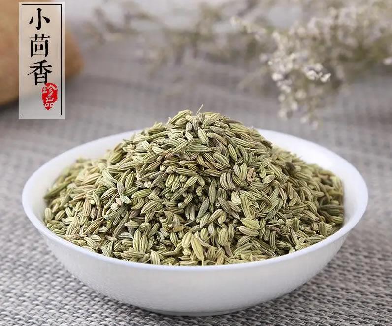 蓝镜头——亚洲精品国产在线播放，探索深海的秘密，揭开生命的新篇章